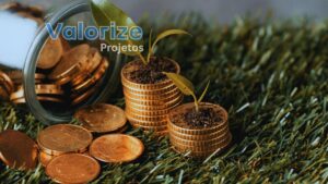 Entenda por que apoiar causas ambientais fortalece a reputação das empresas e como estruturar investimento social privado com apoio da Plataforma Valorize.